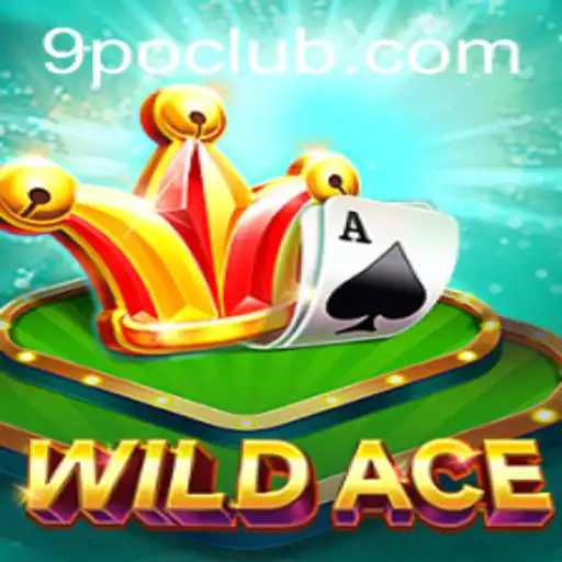 WildAce: Unleashing Adventure with 9PO